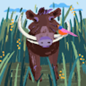 Meet your Posher, Jacqueline